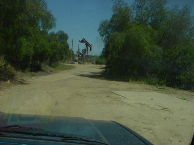 dirt road leading to an oil pumpjack with trees on either side