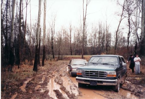 1996 Ford Bronco - Two SUVs are stuck in the mud on a trail surrounded by trees.