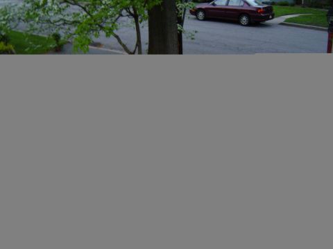 1995 Ford Taurus photo