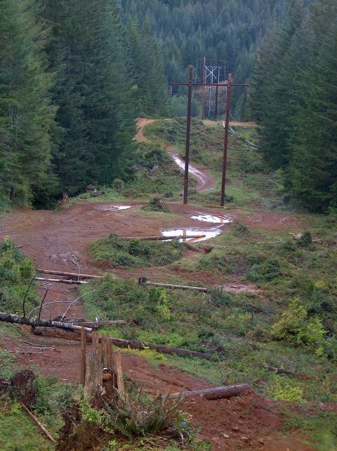 1978 Ford Bronco - A dirt road cuts through a dense forest, marked by power lines and muddy puddles.
