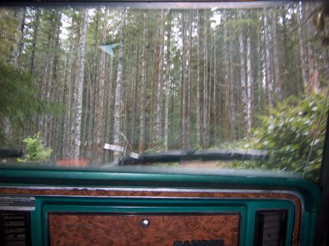 1978 Ford Bronco - Looking out at a forest from the interior of a vehicle. The dashboard features woodgrain paneling.