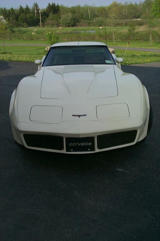 White 1981 Chevrolet Corvette front view, with a black license plate that says 'corvette'