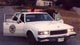 1995 Ford Crown Victoria “Sandy”