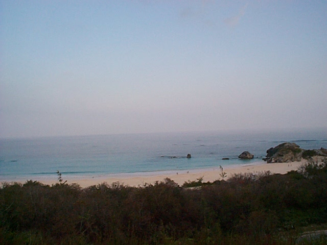 Ocean view with a sandy beach and some rocks. Some bushes are in the foreground