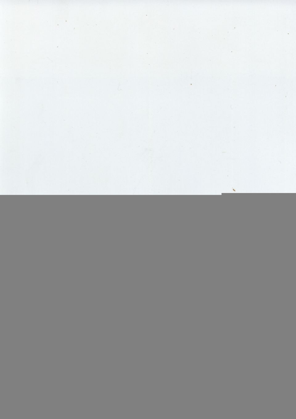 Supermotors logo and website address