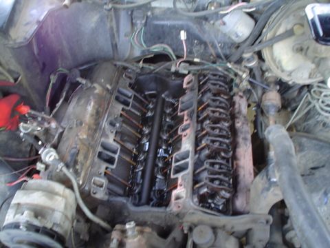1981 Ford Bronco - pic with intake and drivers side valve cover off. The other side we had to cut the exhaust warmer thing off.