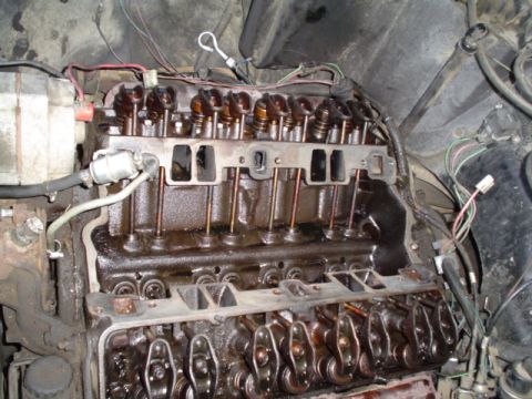 1981 Ford Bronco - everythings off, it doesnt look bad in here except the drivers side has a lot of carbonized oil all over it. I later noticed on the intake…