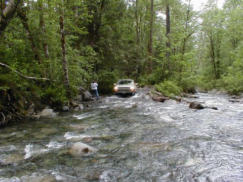 1983 Ford Bronco - A person stands by the river as a tan SUV drives through the water in a wooded area.