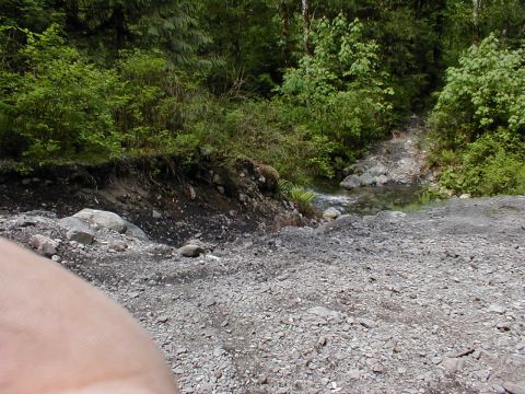 1983 Ford Bronco - A stream flows through a wooded area with a gravelly foreground and a dirt embankment.