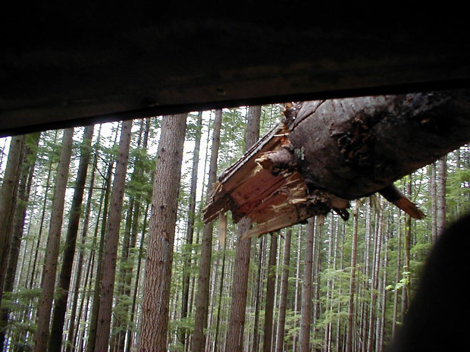 View out a windshield at a freshly broken splintered tree trunk over a forest trail