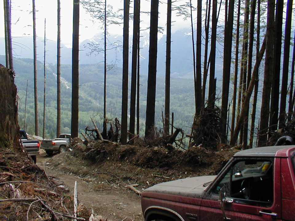 Dark red mud-splattered Ford truck on a dirt logging road above a forested valley
