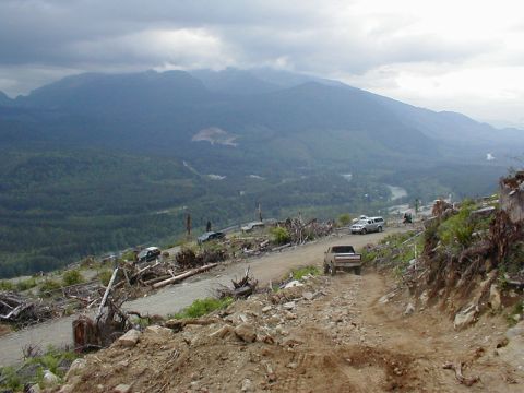 1983 Ford Bronco - A group of 4x4 trucks and SUVs parked along a gravel logging spur on a clear-cut hillside, with a dark full-size Ford SUV climbing the rock…