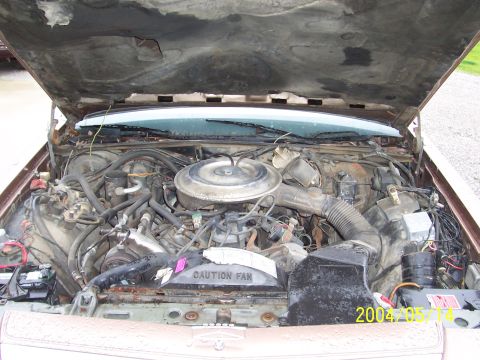 1982 Ford Crown Victoria LTD - Engine bay of a 1982 Ford Crown Victoria LTD, showing the engine and surrounding components under the open hood.