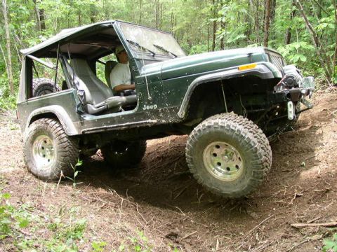 1995 Ford Bronco - Jeep Wrangler navigating a dirt path in a forest setting.