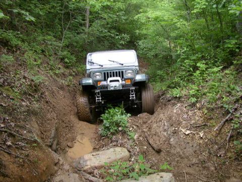 1995 Ford Bronco - A Jeep Wrangler navigates a challenging, muddy off-road path surrounded by dense forest foliage.