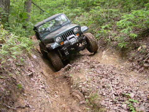 1995 Ford Bronco - A green Jeep Wrangler navigates a challenging, steep dirt trail surrounded by dense forest foliage.