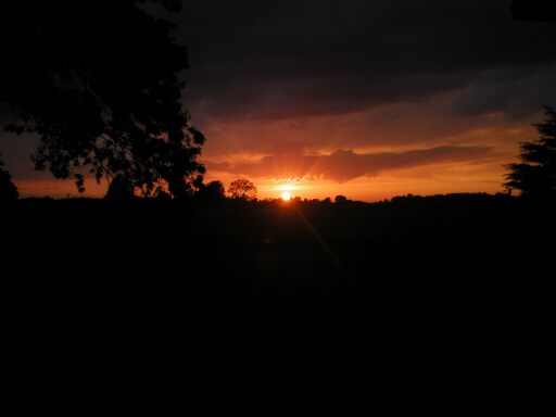 Sunset over a field with trees and a dark sky