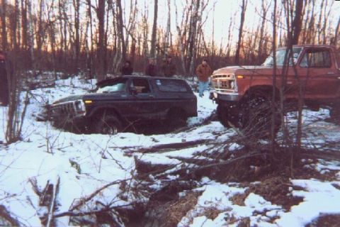 1976 Ford F-250 - Two Ford trucks, a Bronco and an F-250, are stuck in the snow in a wooded area.