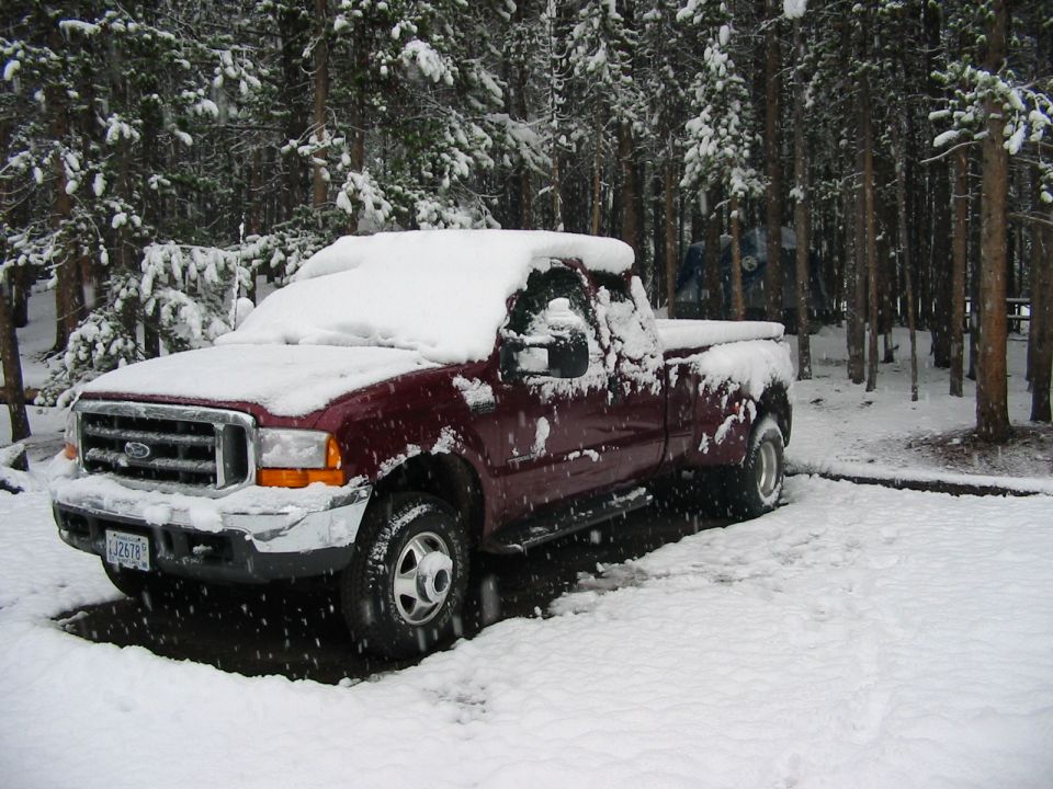 Maroon Ford pickup covered in snow, parked among snowy pine trees, front 3/4 view