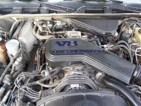1995 Ford Crown Victoria - Close-up view of a V8 engine with an OVERHEAD CAM cover, showing various hoses and wiring. The image includes a watermark for SUPERMOTORS.