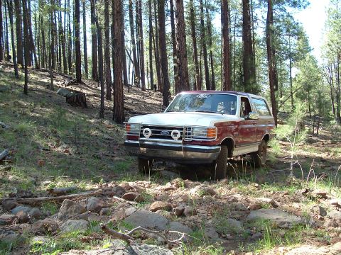 1990 Ford Bronco - A two-tone red and white 1990 Ford Bronco is parked on a dirt path in a pine forest.