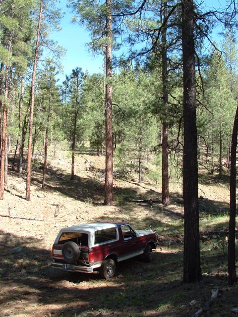 1990 Ford Bronco - This red and white SUV, likely a 1987 model based on its body style, is parked off-road in a wooded area.