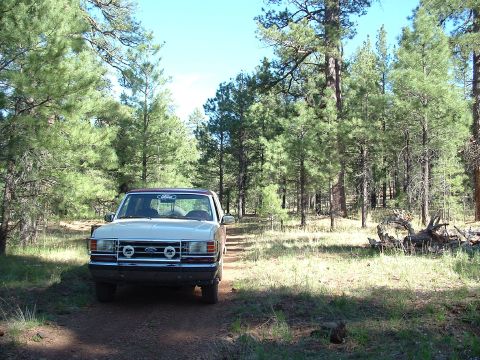 1990 Ford Bronco - 1990 Ford Bronco parked on a dirt road in a forest with pine trees.