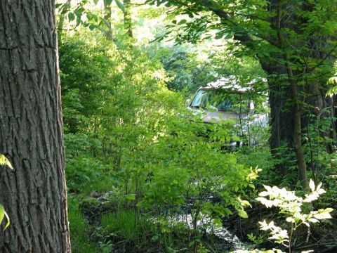 1995 Ford Bronco - An old SUV is partially obscured by trees and bushes in a wooded area.