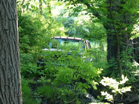 1995 Ford Bronco - A vehicle is parked off-road, surrounded by dense foliage and trees.