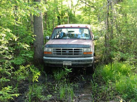 1995 Ford Bronco - A red Ford truck is partially obscured by trees and mud, suggesting it is off-road.