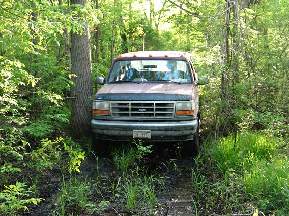Muddy maroon and silver Ford Bronco parked front-on in green wooded trail