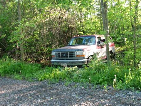 1995 Ford Bronco - This 1995 Ford Bronco is seen parked off the side of a gravel road, partially hidden by trees and foliage.