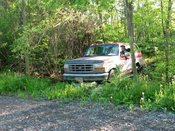 Faded red and white 1990s Ford truck abandoned in weeds at the edge of woods