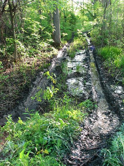 1995 Ford Bronco - A muddy path winds through a forest, showing evidence of tire tracks and puddles.