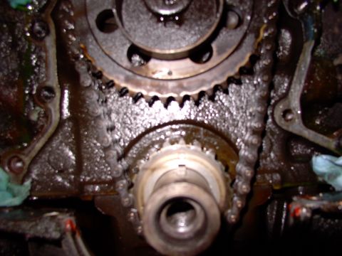 1986 Ford Bronco - Well that's just outta focus ! What bozo took that ?! Maybe you can make out the timing marks lined up. Hopefully the rotor's pointing at t…