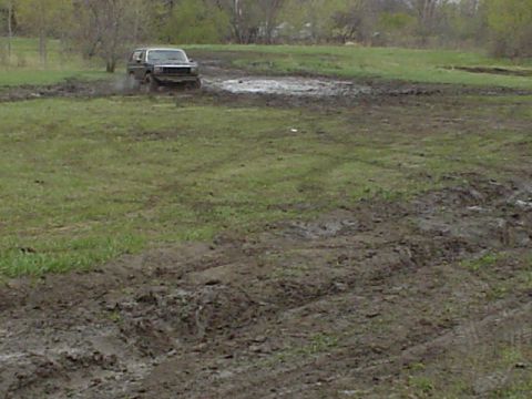 1981 Ford Bronco - SUV navigating a muddy obstacle course.