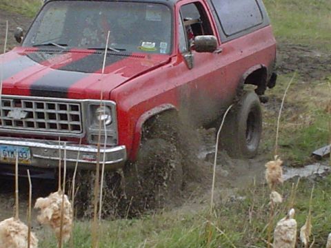 1981 Ford Bronco - getting tugged out