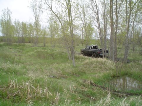 1981 Ford Bronco - Will on the trail threw the woods
