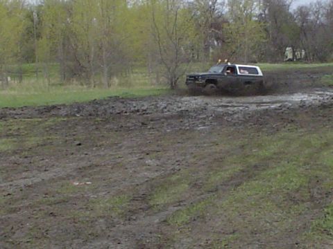 1981 Ford Bronco - splash