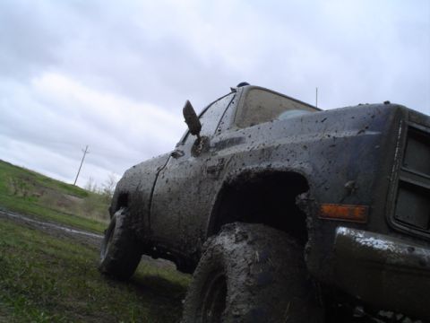 1981 Ford Bronco - Mud-covered pickup truck on a grassy slope under an overcast sky.