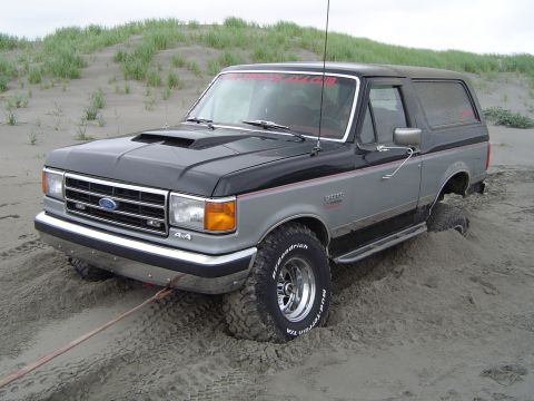 1989 Ford Bronco - Tony climbed the stump, got stuck, and i tried to pull him off...this is the result