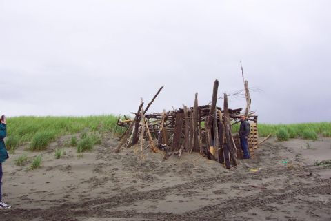 1996 Ford Bronco - Beach Fort