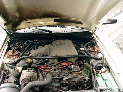 1995 Ford Mustang - The engine compartment of a 1995 Ford Mustang Cobra R is visible with the hood open.