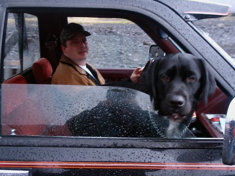1996 Ford Bronco - A man and his dog look out the window of a vehicle during a rain shower.