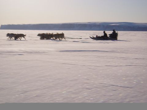 1996 Ford Bronco - A dog sled team traverses a vast, snow-covered expanse under a hazy sky.