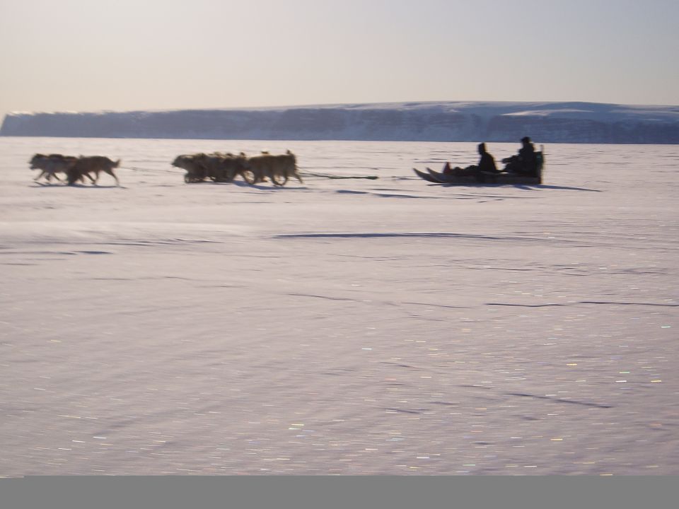 Dog sled team on snow, two people in sled
