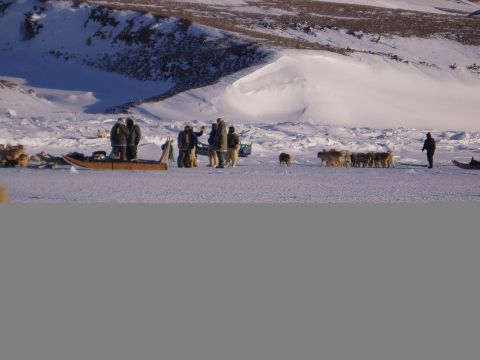 1996 Ford Bronco - People and sled dogs in a vast, snowy landscape with a wooden sled.