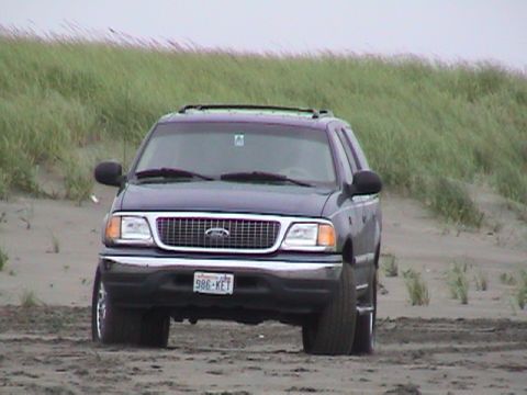 1994 Ford Explorer - This dark blue SUV, possibly a 1998 Ford Expedition, is parked on a sandy dune with tall grass in the background.