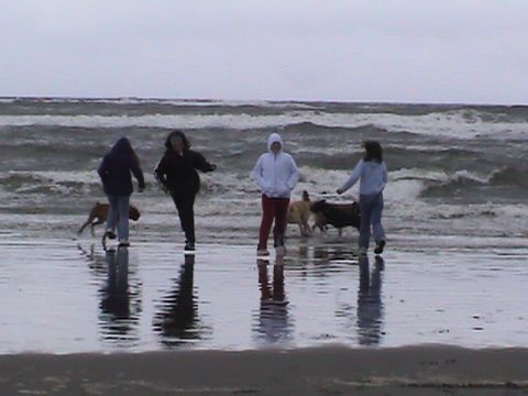 1994 Ford Explorer - People and dogs enjoy a day at the beach with choppy waves rolling in.