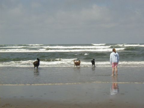1994 Ford Explorer - A person watches three dogs play in the surf on a beach with overcast skies.